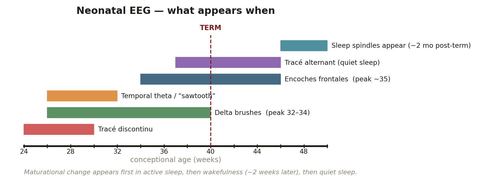 Timeline preview of normal neonatal EEG patterns by conceptional age